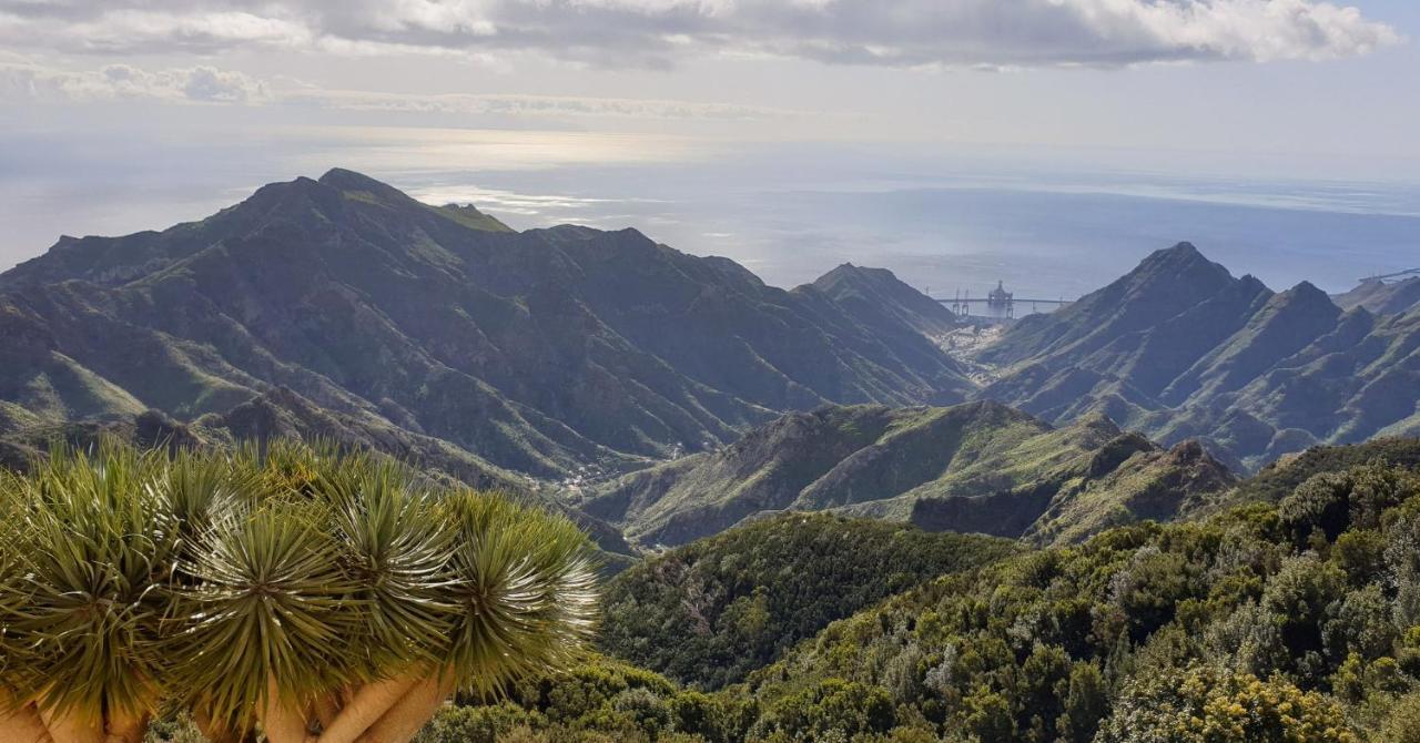 Santa Cruz De Tenerife Toscal 외부 사진