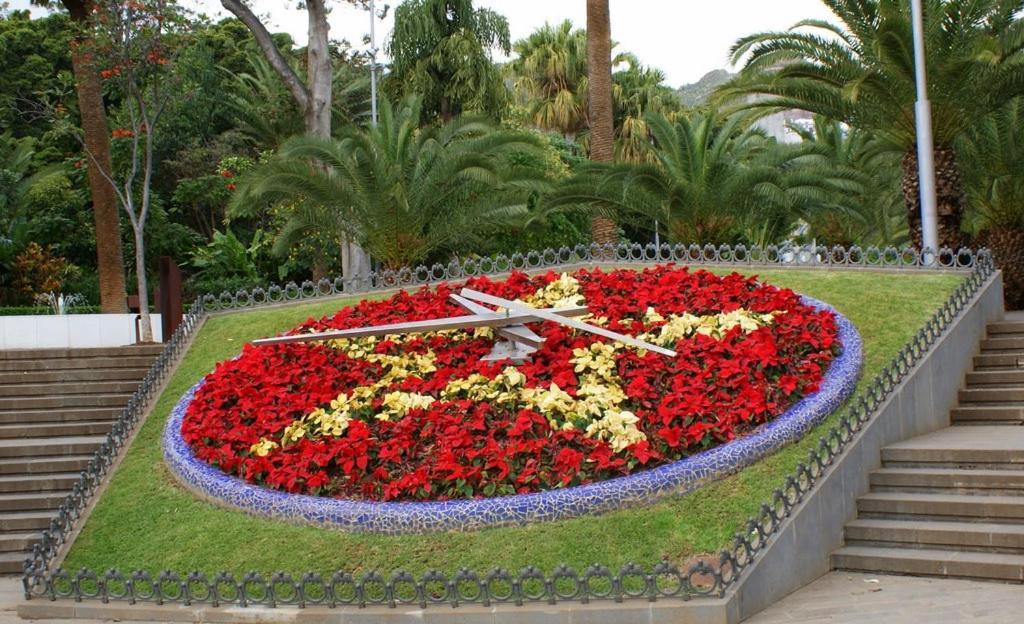 Santa Cruz De Tenerife Toscal 외부 사진
