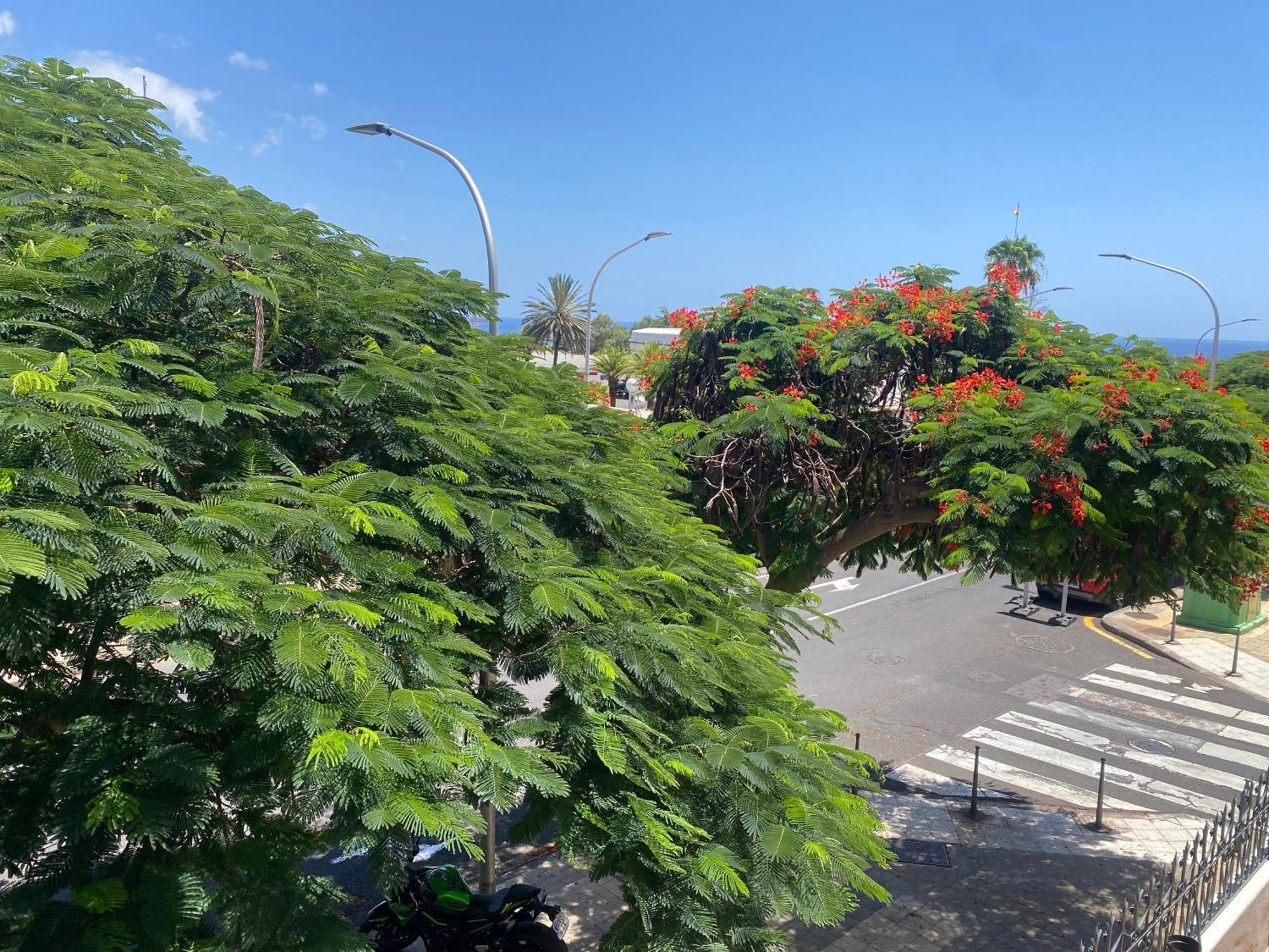 Santa Cruz De Tenerife Toscal 외부 사진