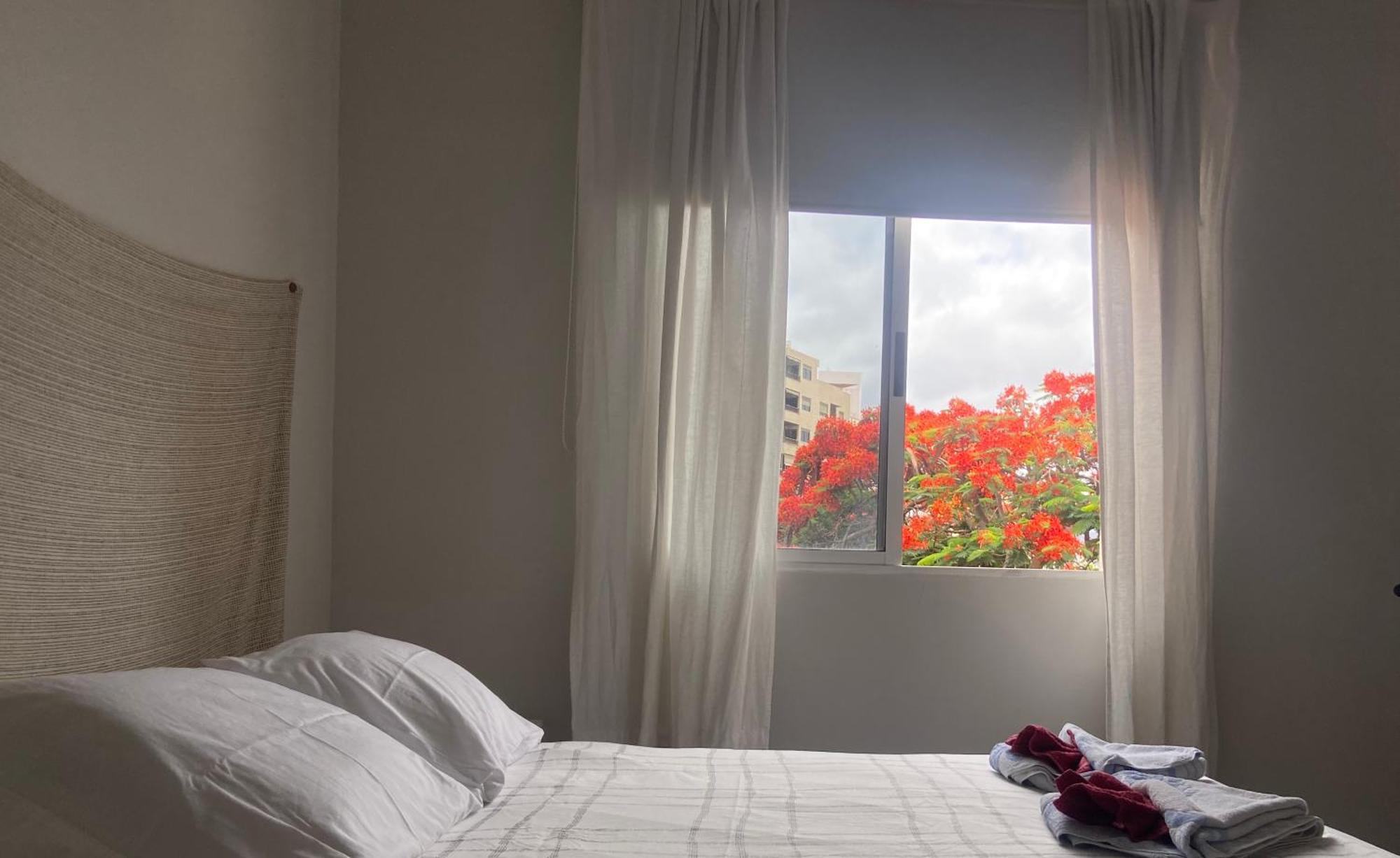 Santa Cruz De Tenerife Toscal 외부 사진