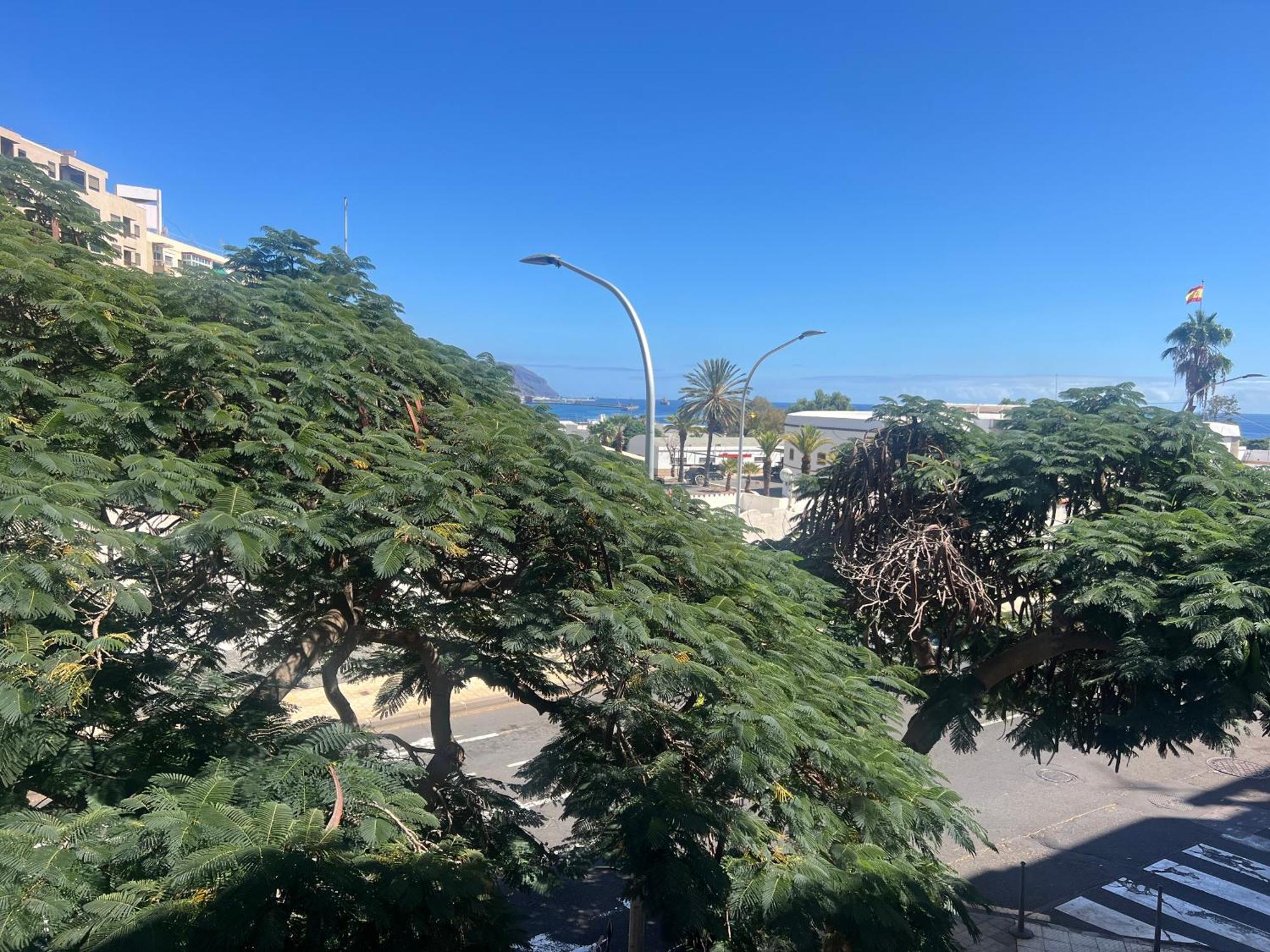 Santa Cruz De Tenerife Toscal 외부 사진